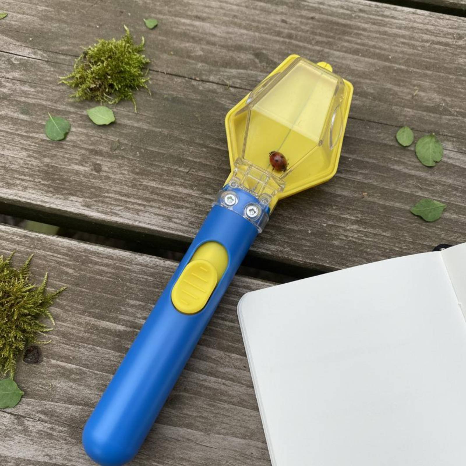 Bug Catcher Viewer Interactive – Science Toy recenzja i cena