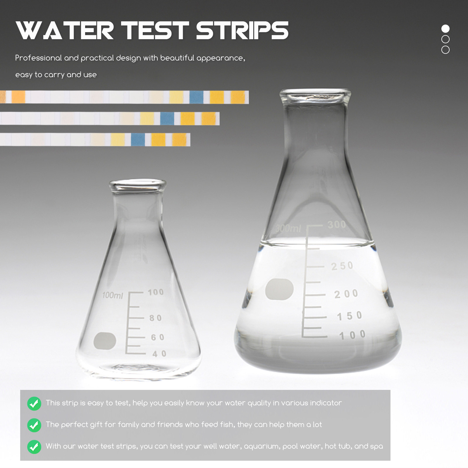 100Pcs Water Test Strips Pool  – Water Testing Kit recenzja i cena