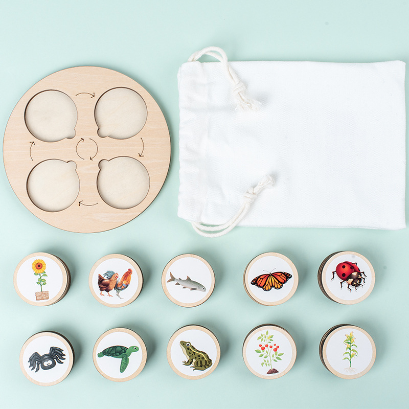 Life Cycle Board Montessori Ki – Science Toys Diy recenzja i cena